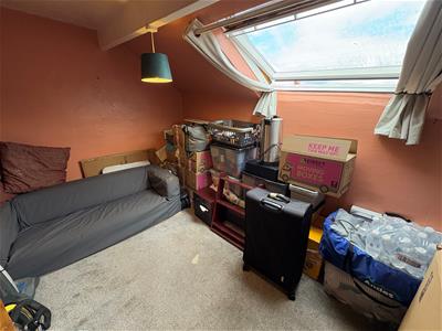 Picture 13